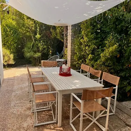 فيلة Novigrad Novigrad Istria