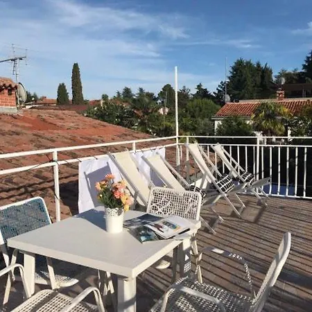 Novigrad *