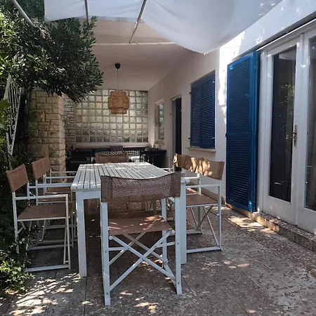 فيلة Novigrad *