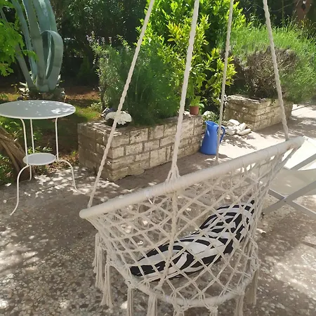 فيلة Novigrad Novigrad Istria