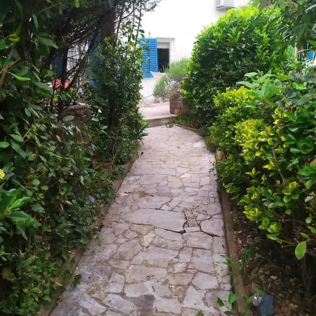 Novigrad * Novigrad Istria