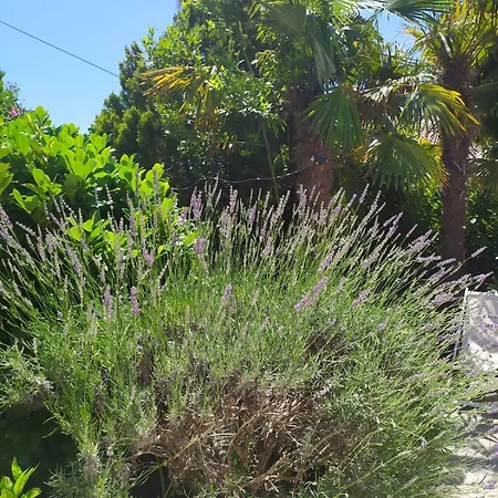 Novigrad Villa Novigrad Istria
