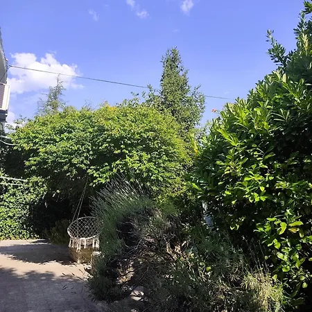 Villa Novigrad Novigrad Istria